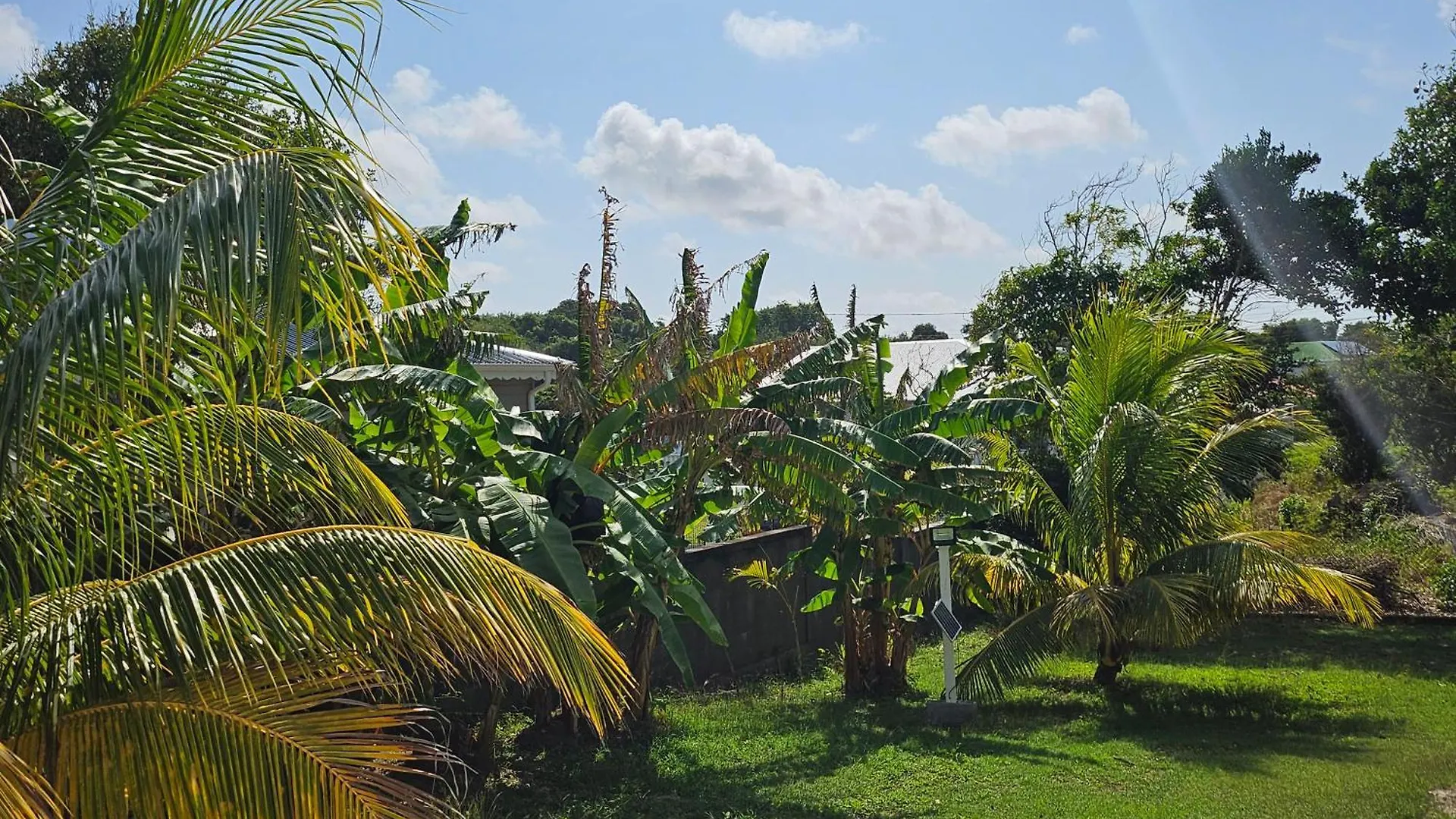 Bungalow Bo Sicrie Le Moule Guadeloupe